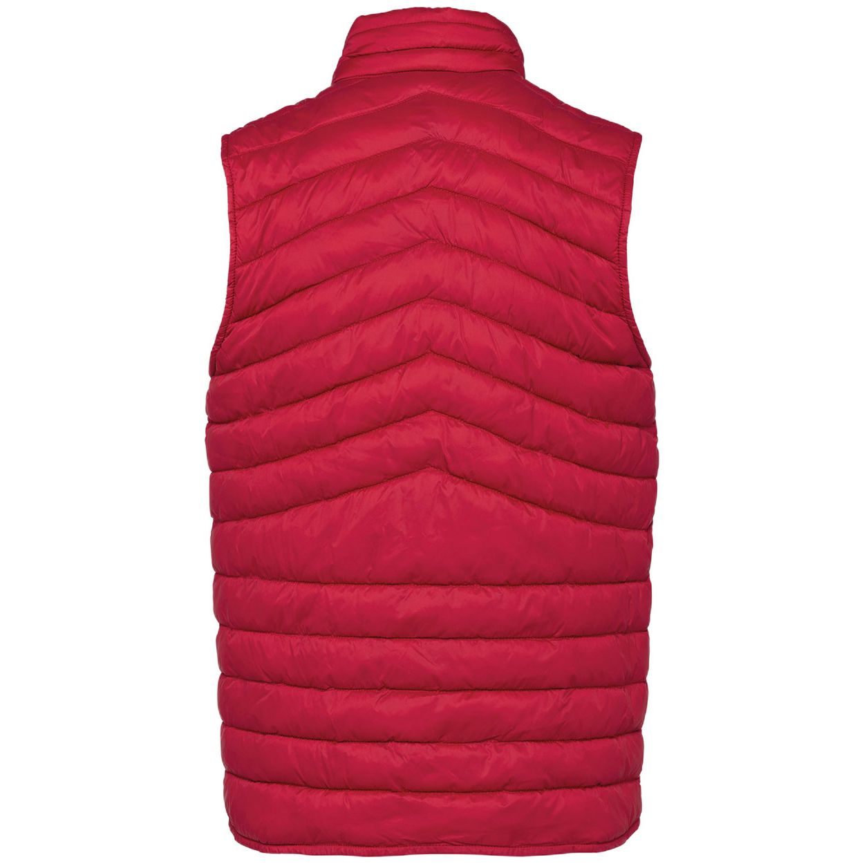 PS_NS6005-B_HIBISCUSRED