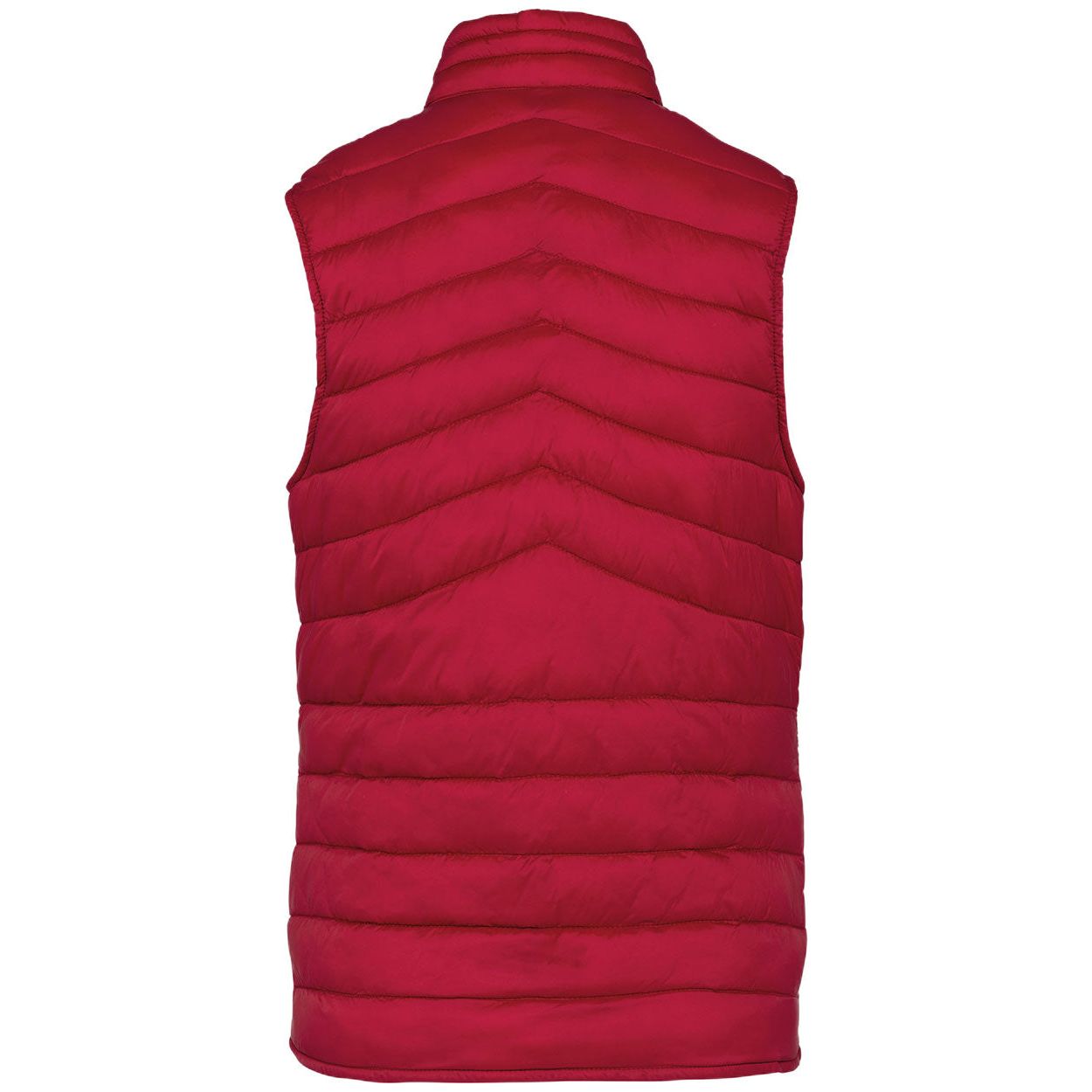 PS_NS6006-B-3_HIBISCUSRED