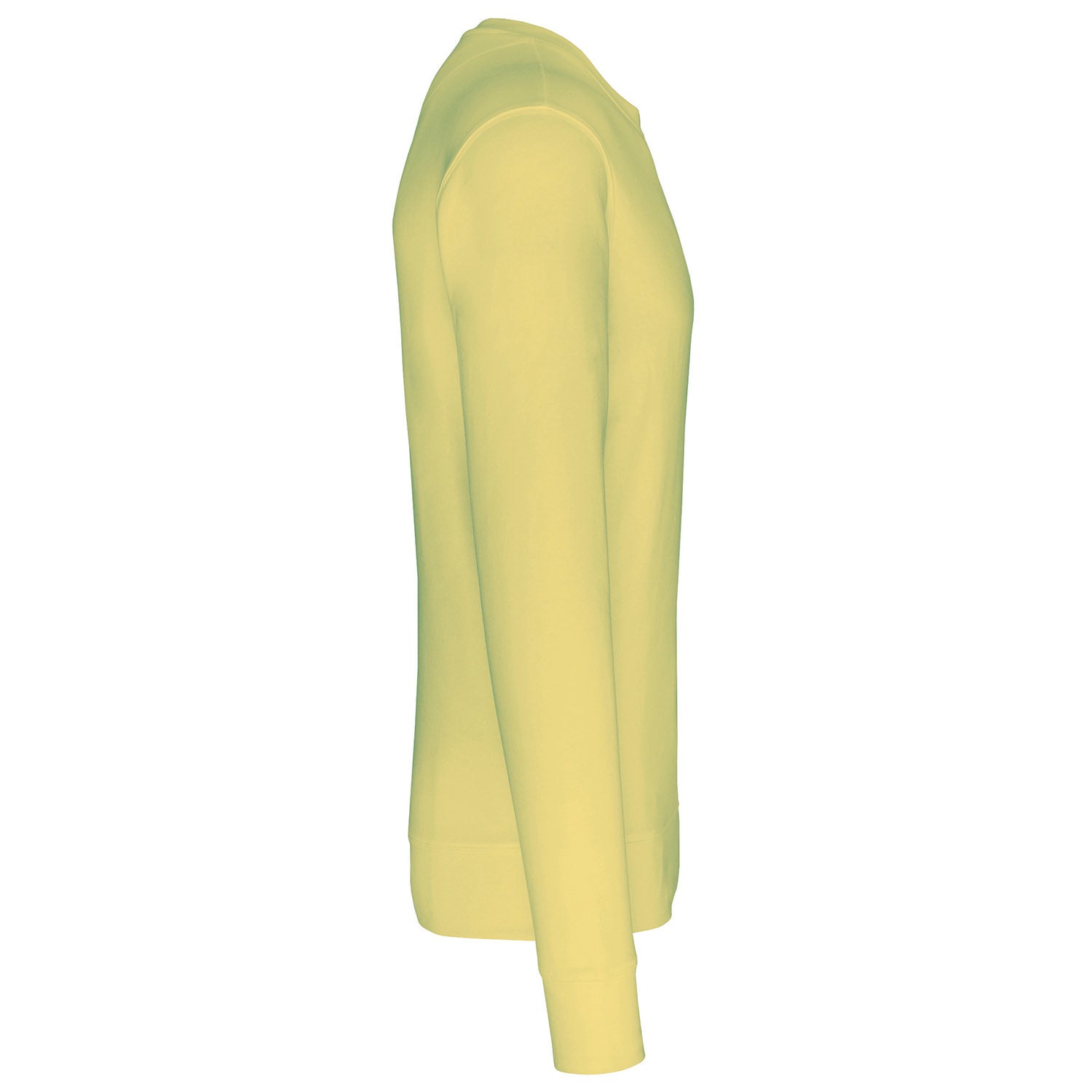 Regular Fit Sweatshirt Mid-Light