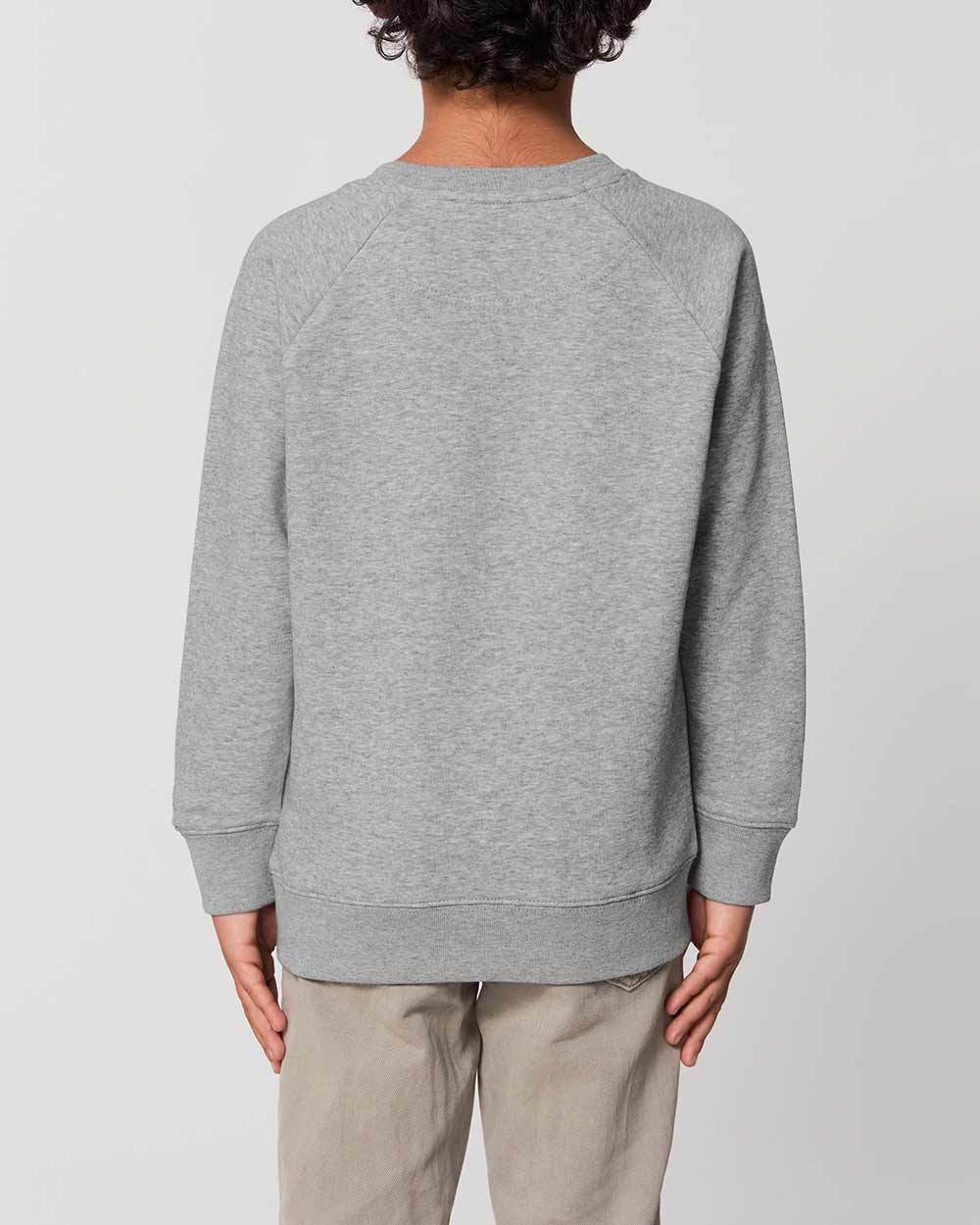 bio-pullover-kinder_Heather_Grey_5