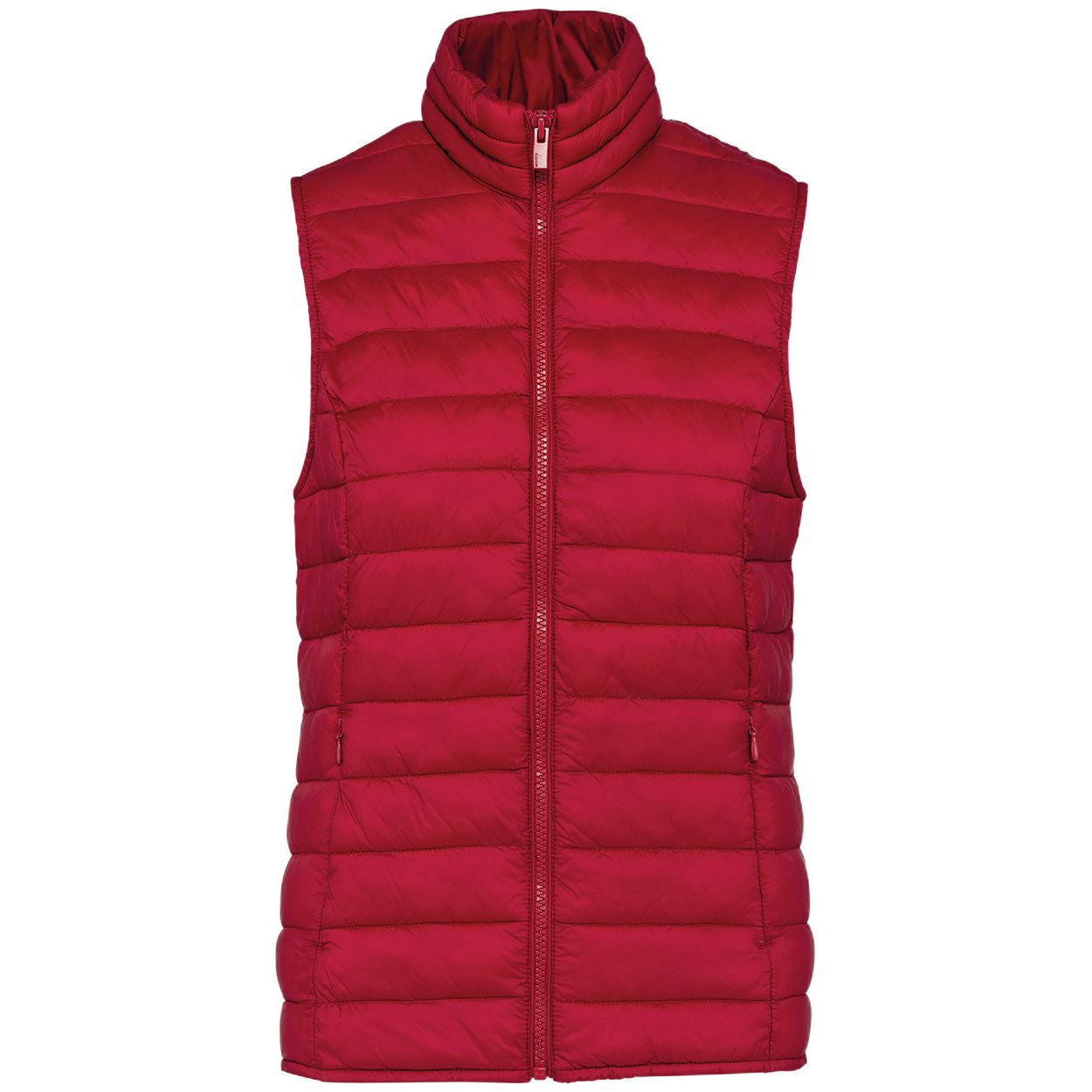 PS_NS6006-3_HIBISCUSRED