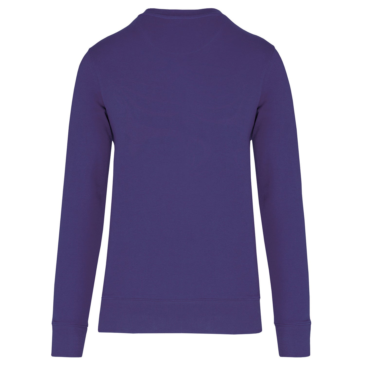 Regular Fit Sweatshirt Mid-Light