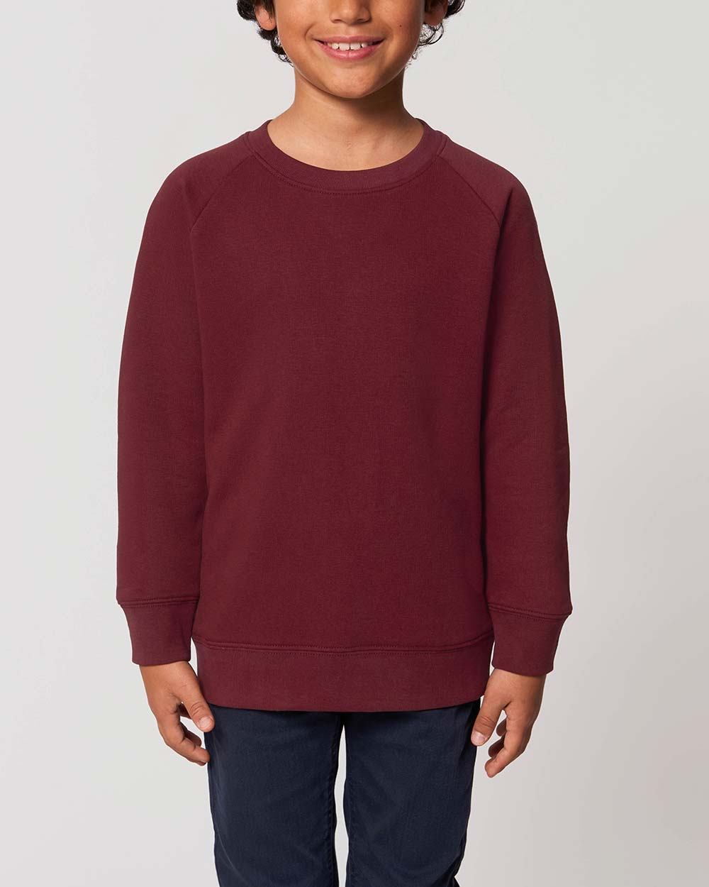 bio-pullover-kinder_Burgundy_2