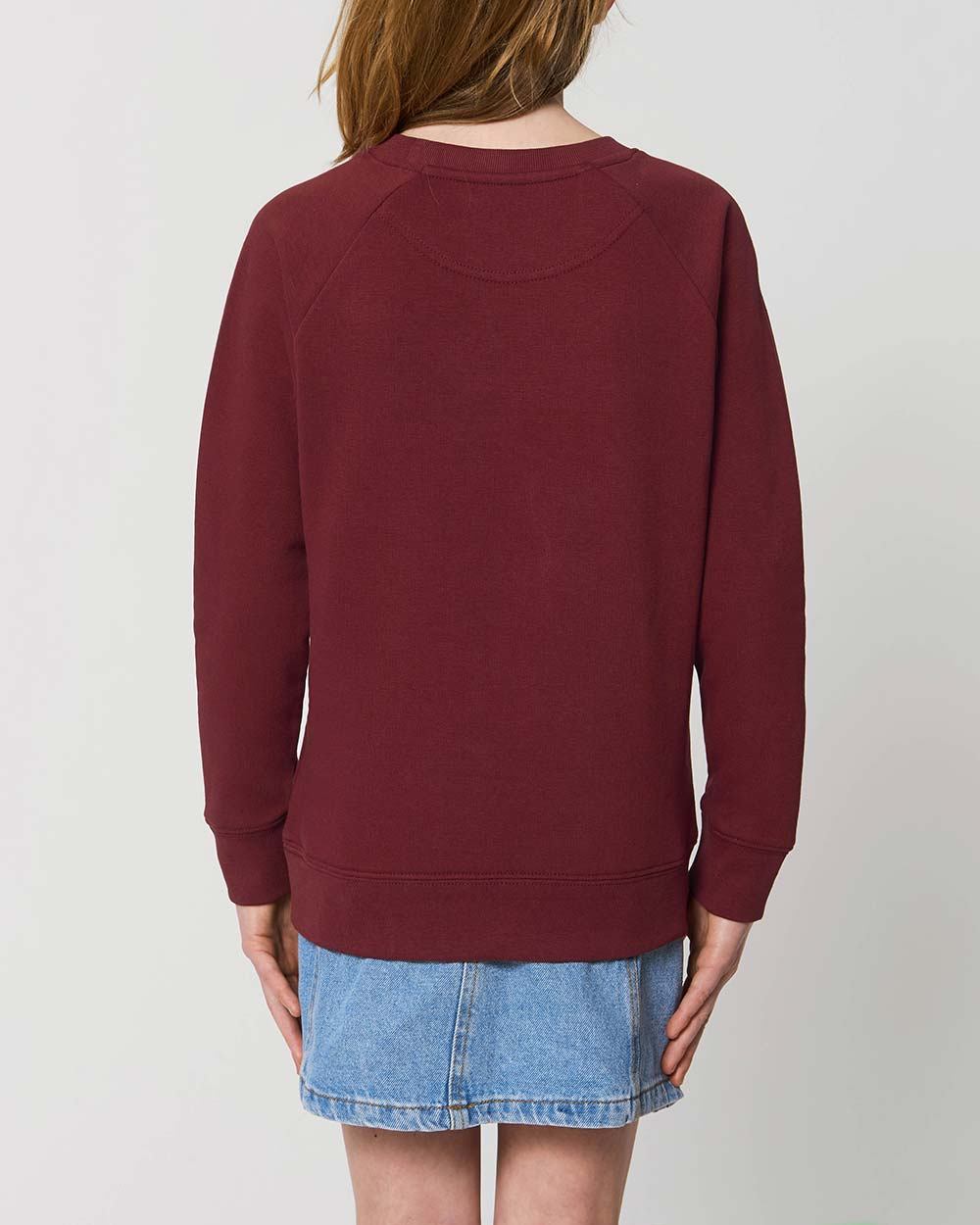 bio-pullover-kinder_Burgundy_4