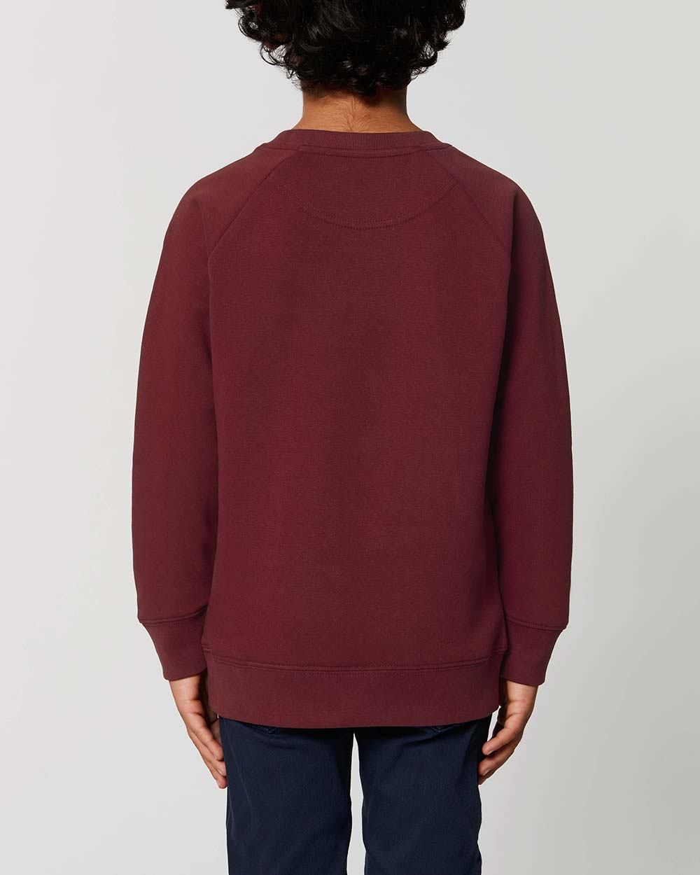 bio-pullover-kinder_Burgundy_5