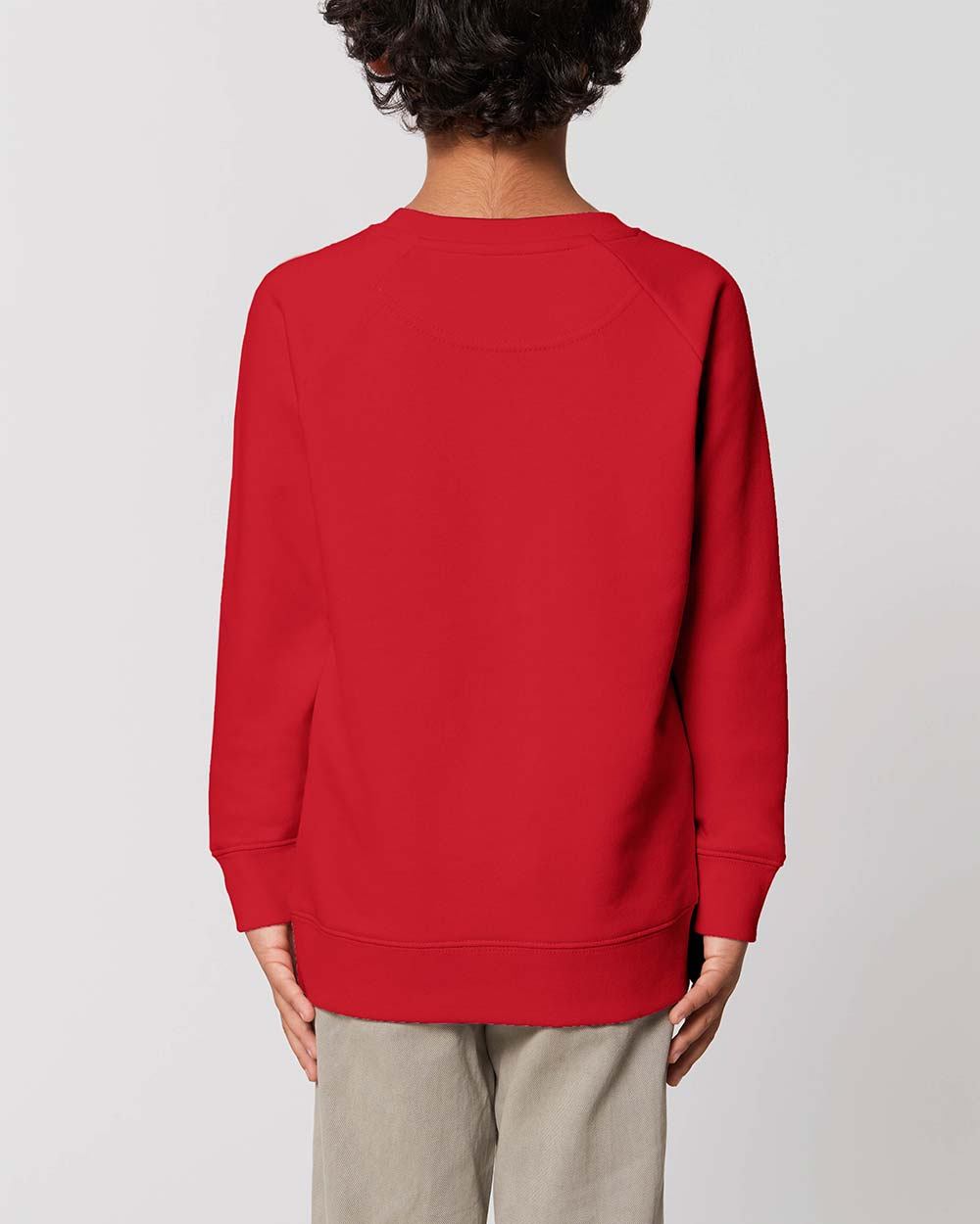 bio-pullover-kinder_Red_5