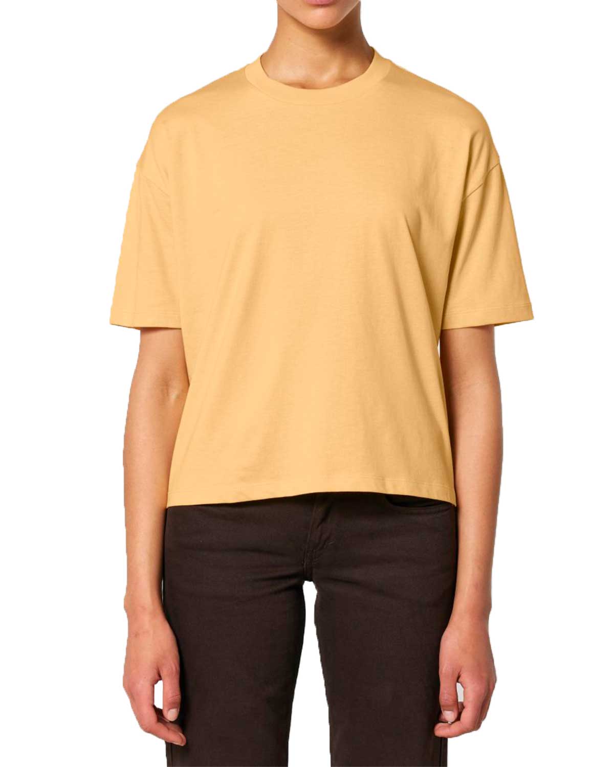 damen-boxy-tshirt-bio-baumwolle-nispero-01