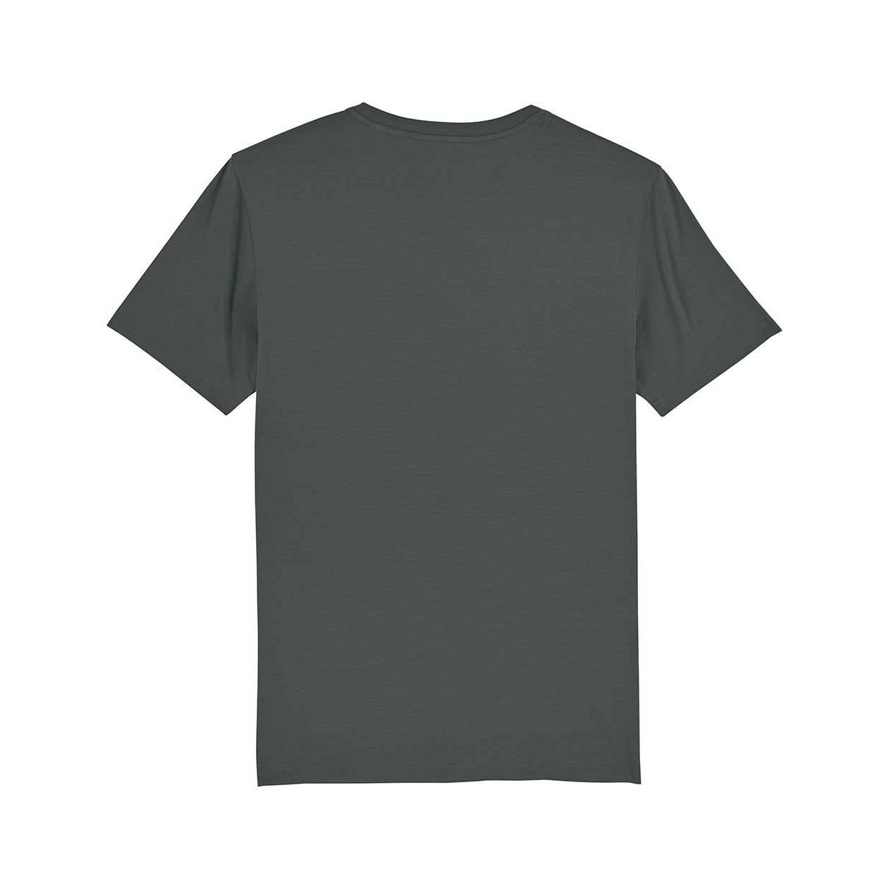 herren-t-shirt-bio-qualit-t-mittelschwer_Anthracite_5