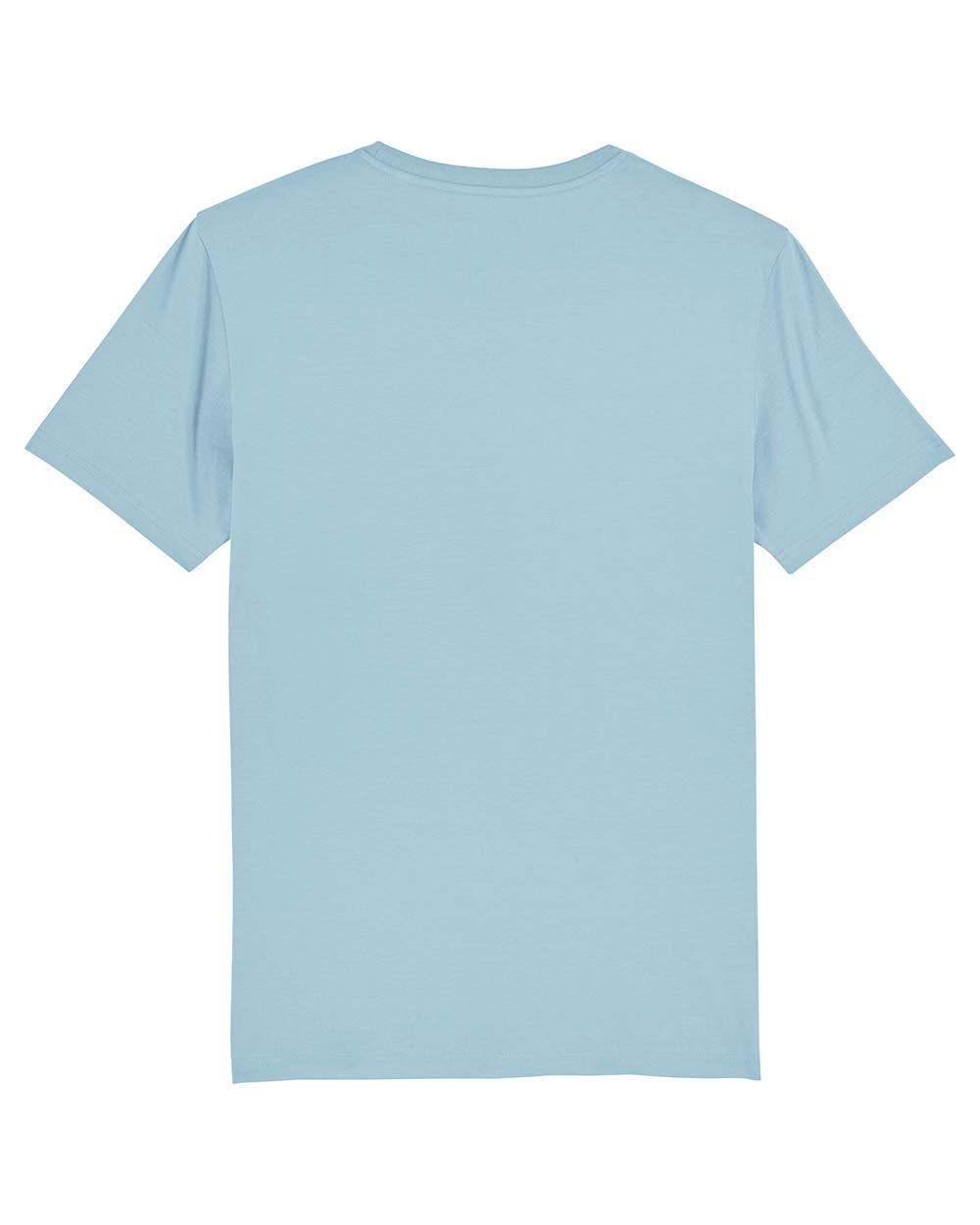 herren-t-shirt-bio-qualit-t-mittelschwer_Sky_blue_6