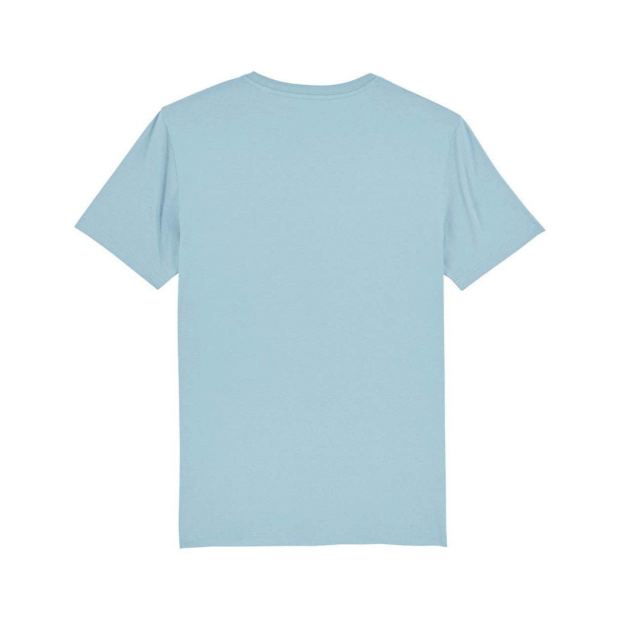herren-t-shirt-bio-qualit-t-mittelschwer_Sky_blue_6