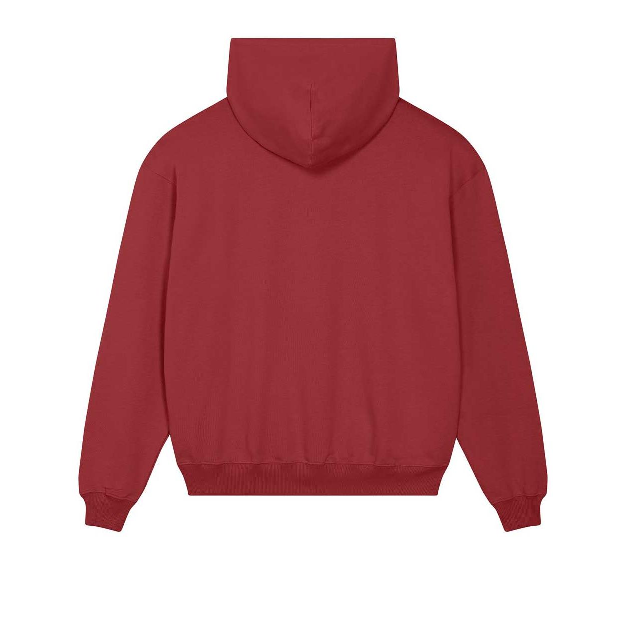 unisex-hoodie-dry-nachhaltig_redearth10