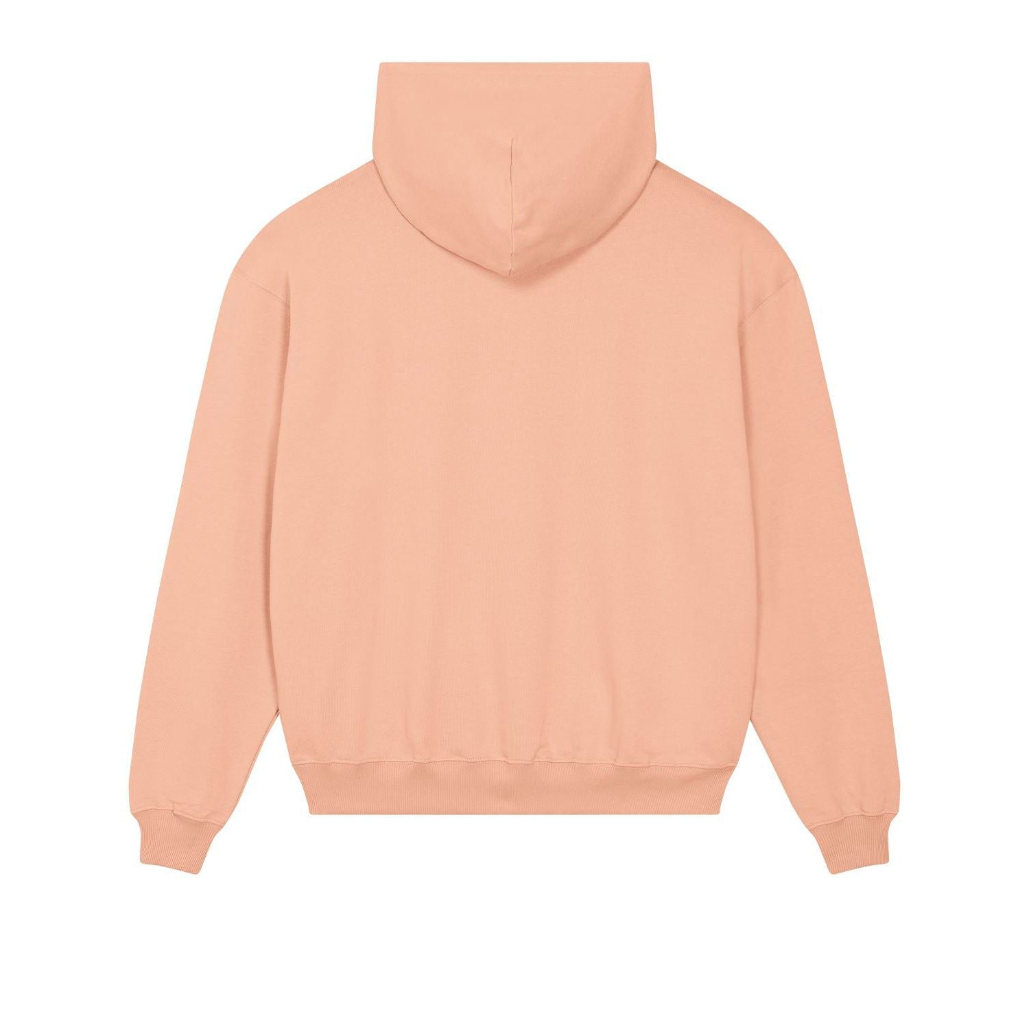 unisex-hoodie-dry-nachhaltigt_fraichepeche2